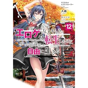 ライトノベル　ラノベ　まとめ売り 文庫 ライトノベル 小説 まとめ売り 電撃文庫 角川スニーカー文庫